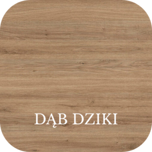 DĄB DZIKI