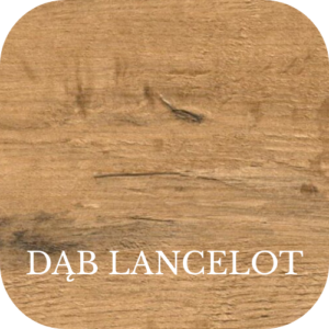 DĄB LANCELOT