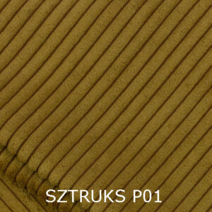 SZTRUKS P01